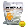 Head TIP Orange 72 Ball Beutel
